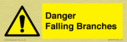 danger-falling-branches~